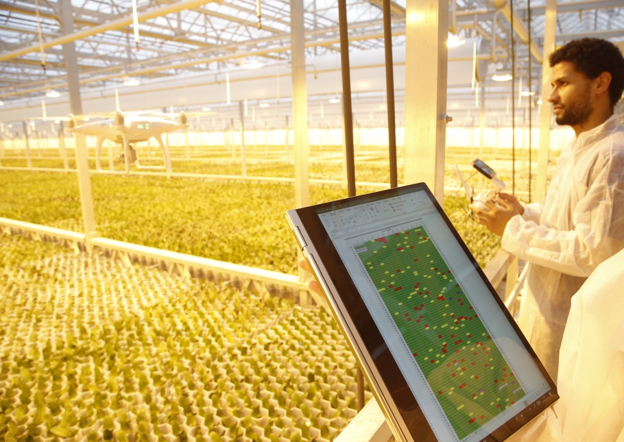 medewerkers in een plantenkas besturen een drone