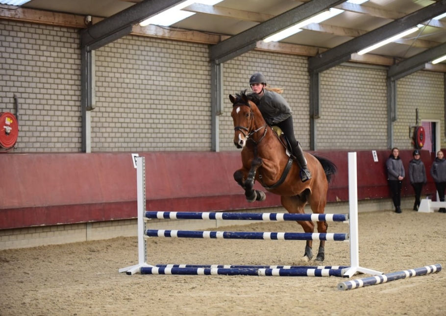 Ruiter op paard, springend over een hindernis bij campus Equestrum.