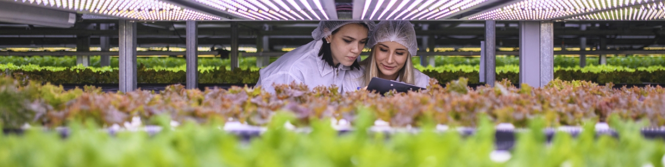 Twee studenten tussen de plantjes op Horti Science Park