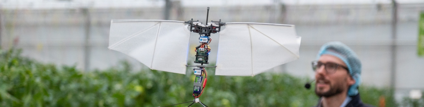 Een man met overall en haarnetje op bestuurt een drone in de vorm van een vlinder in een kas waar tomaten groeien.