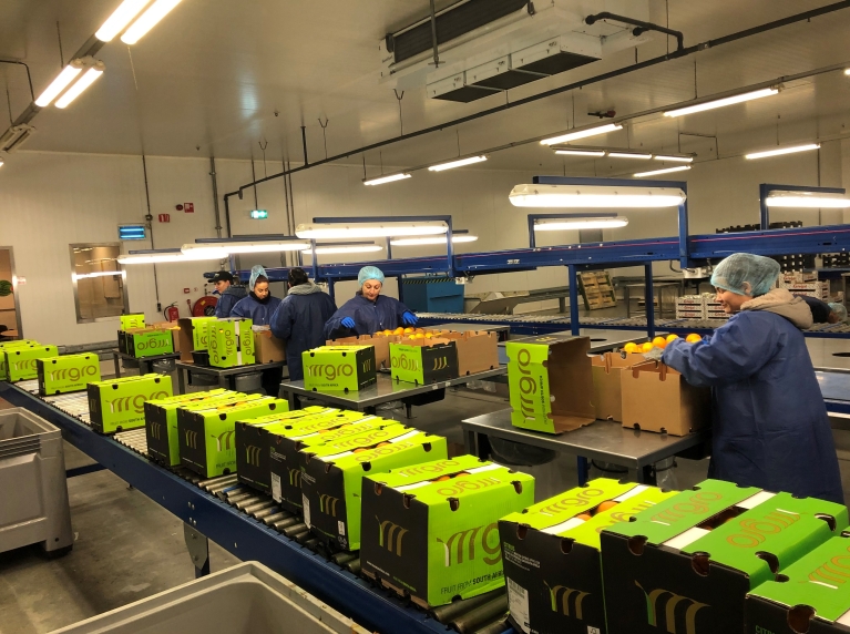 Dutch Fresh Port