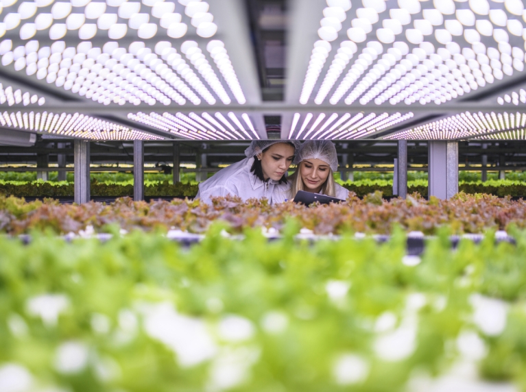 Twee studenten tussen de plantjes op Horti Science Park